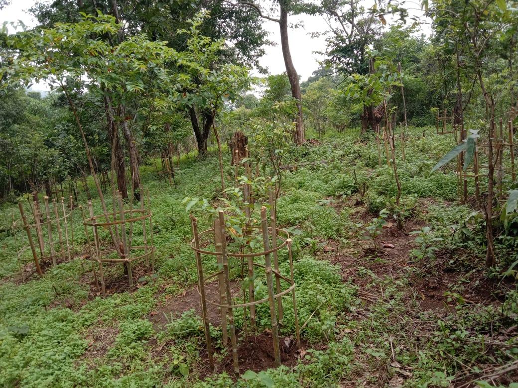 C:\Users\ADMIN\AppData\Local\Microsoft\Windows\Temporary Internet Files\Content.Word\IMG-20220620-WA0016.jpg